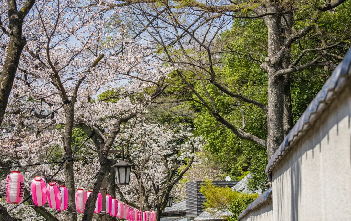 江戸川公園