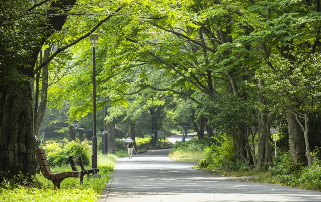 戸山公園