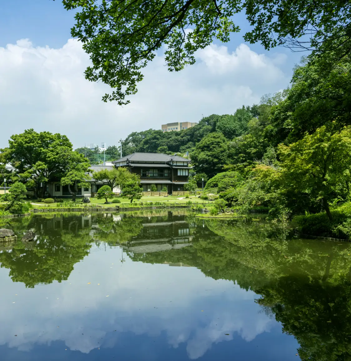 肥後細川庭園